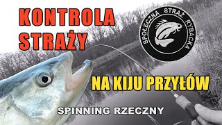 Kontrola Straży Rybackiej! Niespodziewany przyłów! - spinning na Warcie 2023