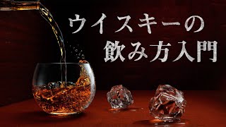 🔰[ウイスキー] 初心者必見！ウイスキーの飲み方入門講座！