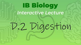 IB Biology D.2 - Digestion - Interactive Lecture