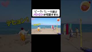 【BTS】チートだらけのビーチバレーボールｗ【日本語字幕】