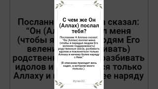 📅 08 Раби’а аль-Ахир - 23 октября, 2023 г. (1445 г. по хиджре) С чем же Он (Аллах) послал тебя?