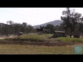 robyn ball riding molokai road 339 cic 2 star albury horse trials 2013b