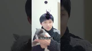 我愿称你为二次元里最猥琐的男人动漫推荐 动漫 银魂名场面  坂田银时 银魂