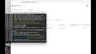 Setup Sauce Connect for Saucectl