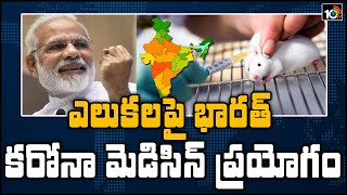 ఎలుకలపై కోవిడ్ వ్యాక్సిన్ ప్రయోగాలు మొదలెట్టిన భారత్ | India Starts Covid-19 Vaccine Trials on Rats