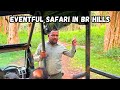 Exploring the Wild: Jungle Safari in BR Hills!