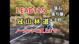 【LEAD125】【冠山林道】林道（舗装路）も気持ち良くすいすい走っていきます