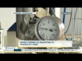 Production of vegetable oil in Shymkent is planned to increase by fourfold - Kazakh TV