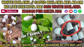 WHITE BHILAWA // SAFED BHILAWA KYA KAAM KE LIYE USE HOTA HAI OUR WHITE BHILAWA KAHAN PER MILTA HAI 💯