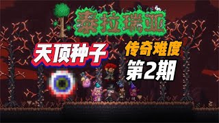 连载 | 第2期，天顶世界+传奇难度，两个神器到手！【A教授-泰拉瑞亚】