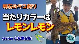 【明石タコ釣り】7月中潮回り（12日潮）レモン色カラーテクで連続ヒット！