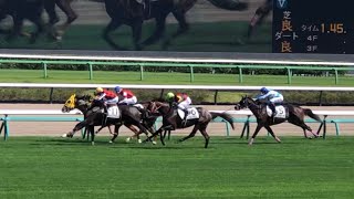 [蔵出し]【現地】グランドライン 三浦皇成 3歳上1勝C