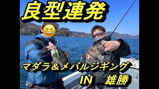 雄勝　マダラ＆メバルジギング