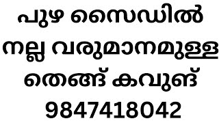 പുഴ സൈഡിൽ അടിപൊളി പൊളി തെങ്ങ് കവുങ് river face cocanut arica nut farm #lowbudget #palakkad