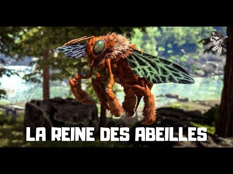 🦖 ARK FR - 🦖 COMMENT TAMER LA 🐝 REINE DES ABEILLES 🐝 - YouTube