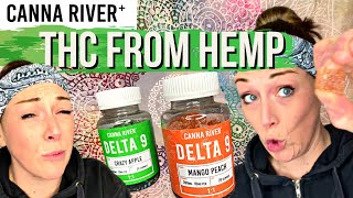 Delta 9 THC from HEMP?! | Canna River | THC : CBD Gummies Review