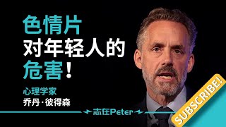 色情片对年轻人的危害！——Dr Jordan B Peterson 乔丹·彼得森