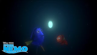 Finding Nemo | Marlin en Dory in een bliksem achtervolging | Disney NL