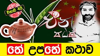 තේ උපතේ කතාව 茶斯里兰卡 | චීන පටස් Episode 01