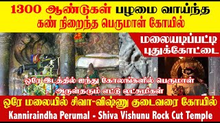 மலையடிப்பட்டி கண் நிறைந்த பெருமாள் கோயில்|சிவா- விஷ்ணு குடைவரை கோயில்| Kan Niraintha Perumal Koil