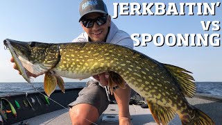 Pike fishing jerkbaits & spoons in the Daube Delta