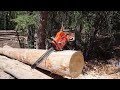 first cuts for the g395xp farmertec holzfforma husqvarna 395 xp copy clone chainsaw