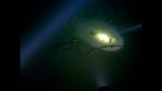 My 302nd dive - Night dive to the dive site - Ktsa