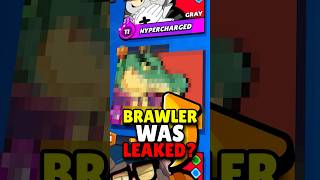 This New Brawler Was Leaked