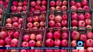 Iran Love fruit, Pomegranates انار ميوه عشق ايران