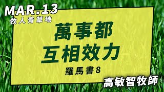 20210313牧人青草地│萬事都互相效力