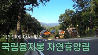 용지봉자연휴양림 | 개장후 1년 어떤 모습일까?