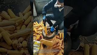 Ingenious diy corn sheller: fast & efficient corn harvesting