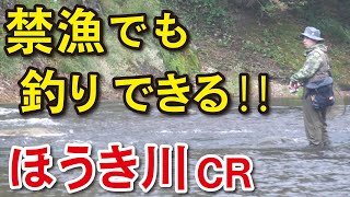 【渓流釣り  ほうき川】 禁漁でも釣り出来る！ ほうき川CRの釣り状況は○○？（栃木県那須塩原市）　River Healing Channel