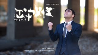 ארי גולד - צועקים | Ari Gold - Tzoakim