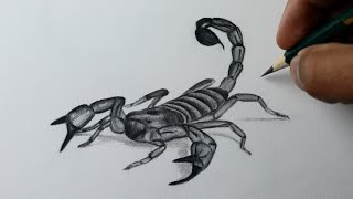 Como desenhar um escorpião PASSO A PASSO - narrado