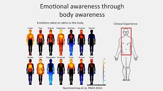 Got Stress? The Science of Measuring and Improving Meditation