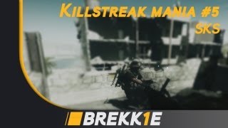 BF3: Killstreak mania #5 - SKS powaah