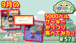 【ポケ森】9月の5000ベルクッキーまとめ！◆578【どうぶつの森：ポケットキャンプ】