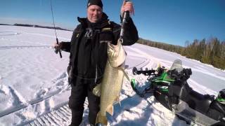 crow lake 14lbs lake trout