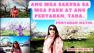 THE CHERRY BLOSSOMS TREES( SAKURA) AT THE  PARK AND THE AMUSEMENT AT THE MALL PARKING LOT!