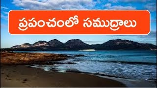 ప్రపంచంలో ముఖ్యమైన సముద్రాలు, జలసంధులు  | Sea of the world in Telugu