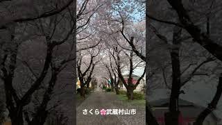 Tokyo musashimurayama shi さくら🌸武蔵村山市