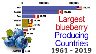 Top 10 Blueberry Producing Countries l World's Largest Blueberry Producing Countries l Ranking Chart