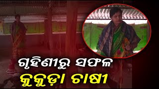 ୟୁଟ୍ୟୁବ୍‌ରୁ ଶିଖି ଏବେ କୁକୁଡ଼ା ଚାଷରୁ ଭଲ ରୋଜଗାର କରୁଛନ୍ତି ଘଟଗାଁର ପ୍ରିୟମ୍ବଦା||Knews Odisha || Knews Odisha