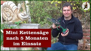 Mini Kettensäge nach 5 Monaten im Einsatz