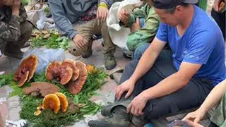 人间烟火，繁华与宁静交织的烟火生活。人间烟火 赶大集 大山里的味道 山货丰收季 我的乡村生活