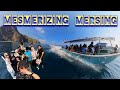 Family day di MENTIGI BAY CHALET[MERSING]-daytrip siap penginapan #mersing #cuticutimalaysia  #pulau