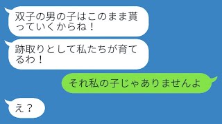 【LINE】私が双子の娘を出産したとき、姑は私を追い出し、「男が産めないなら離婚しろ」と言った。しかし、7年後、姑は意外な手のひら返しをし、その結末は予測できないものになった。