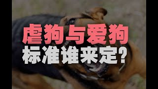 为什么一条狗的死亡，会引起整个娱乐圈明星的震怒？ 转载自 -【丰言疯话】