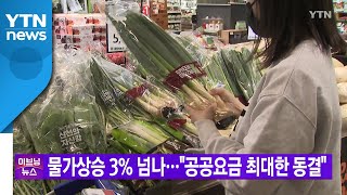 [YTN 실시간뉴스] 물가상승 3% 넘나...\